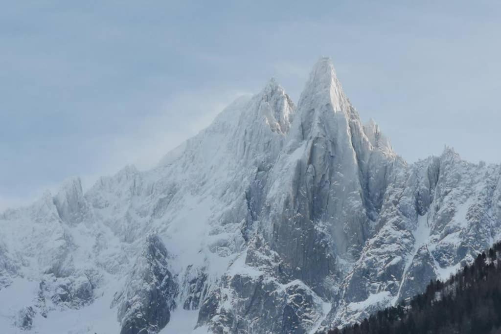 Residence Luxe 5*,Spa & Fitness, La Cordee Appartement 821 Chamonix Ngoại thất bức ảnh